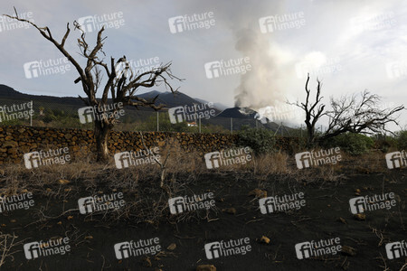 Vulkanausbruch auf La Palma