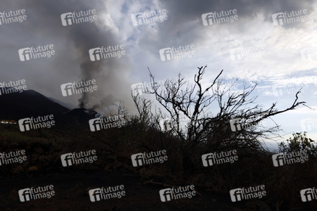 Vulkanausbruch auf La Palma
