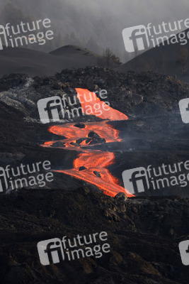 Vulkanausbruch auf La Palma