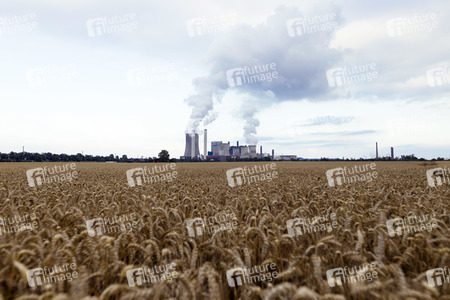 Das Braunkohle-Kraftwerk Niederaußem