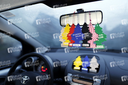 Symbolfoto Wunder-Baum