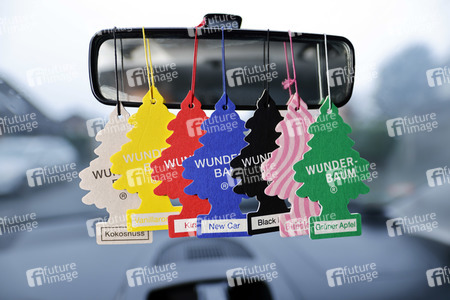 Symbolfoto Wunder-Baum