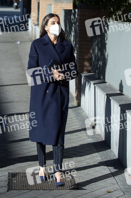 Königin Letizia besucht eine Sitzung der FEDER in Madrid