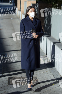 Königin Letizia besucht eine Sitzung der FEDER in Madrid