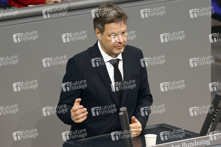 11. Sitzung des Deutschen Bundestages in Berlin