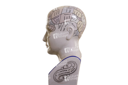 Symbolfoto Phrenologie