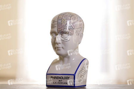 Symbolfoto Phrenologie