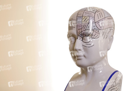 Symbolfoto Phrenologie