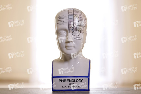 Symbolfoto Phrenologie