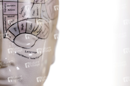 Symbolfoto Phrenologie