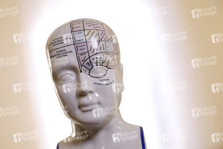 Symbolfoto Phrenologie