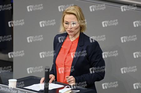 12. Sitzung des Deutschen Bundestages in Berlin