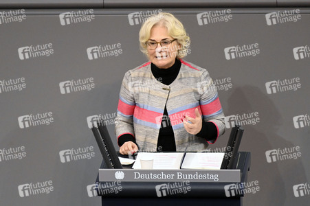 12. Sitzung des Deutschen Bundestages in Berlin