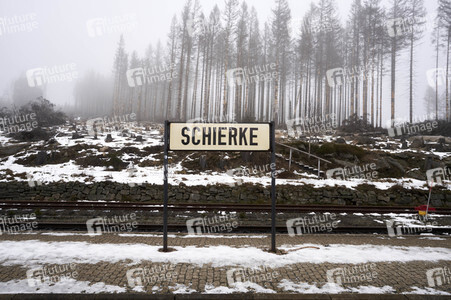 Harzer Schmalspurbahn in Schierke