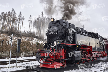 Harzer Schmalspurbahn in Schierke