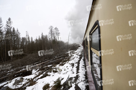 Harzer Schmalspurbahn in Schierke