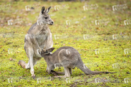 Inventur im Thüringer Zoopark Erfurt