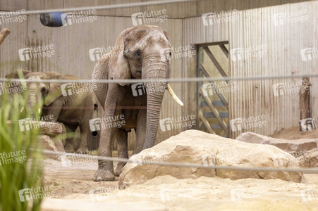 Inventur im Thüringer Zoopark Erfurt