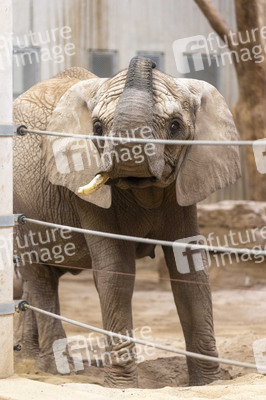 Inventur im Thüringer Zoopark Erfurt