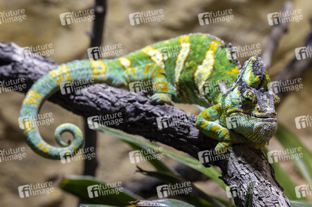 Inventur im Thüringer Zoopark Erfurt