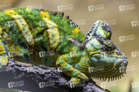 Inventur im Thüringer Zoopark Erfurt