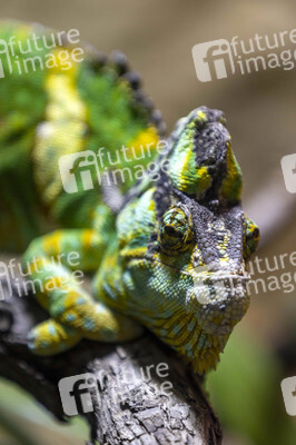 Inventur im Thüringer Zoopark Erfurt
