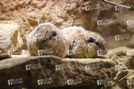 Inventur im Thüringer Zoopark Erfurt