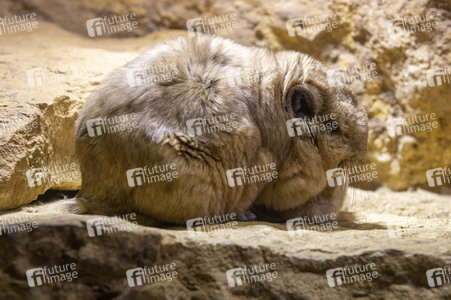 Inventur im Thüringer Zoopark Erfurt