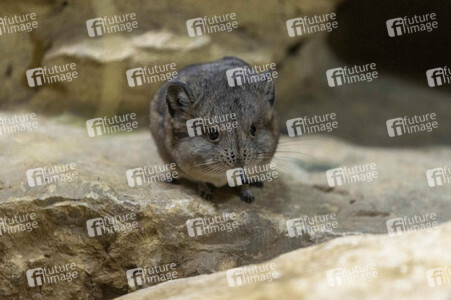 Inventur im Thüringer Zoopark Erfurt