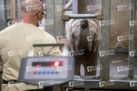 Inventur im Thüringer Zoopark Erfurt
