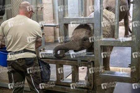 Inventur im Thüringer Zoopark Erfurt