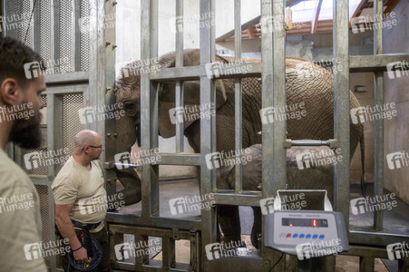 Inventur im Thüringer Zoopark Erfurt