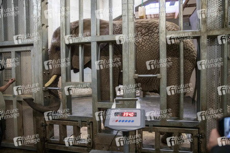 Inventur im Thüringer Zoopark Erfurt