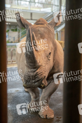Inventur im Thüringer Zoopark Erfurt