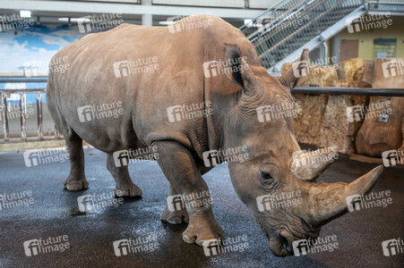 Inventur im Thüringer Zoopark Erfurt