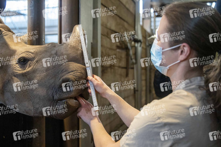 Inventur im Thüringer Zoopark Erfurt