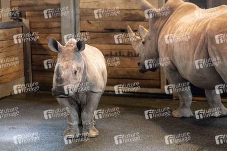 Inventur im Thüringer Zoopark Erfurt