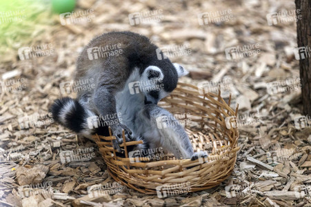 Inventur im Thüringer Zoopark Erfurt
