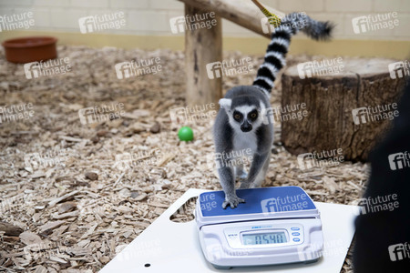 Inventur im Thüringer Zoopark Erfurt
