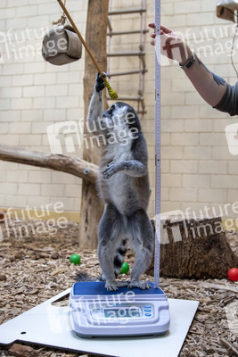 Inventur im Thüringer Zoopark Erfurt