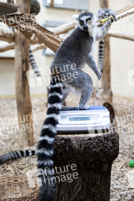 Inventur im Thüringer Zoopark Erfurt