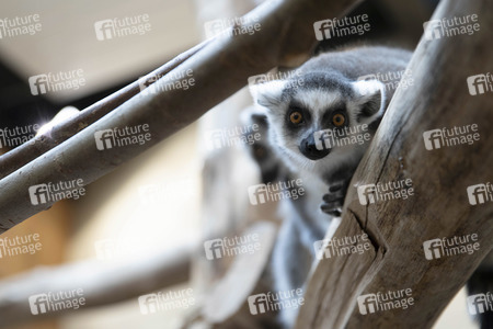 Inventur im Thüringer Zoopark Erfurt