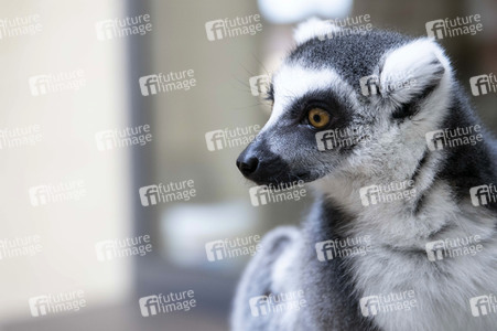 Inventur im Thüringer Zoopark Erfurt