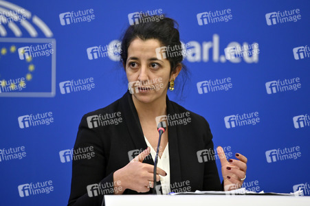 Pressekonferenz der Grünen im Europäischen Parlament in Straßburg