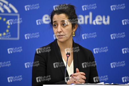 Pressekonferenz der Grünen im Europäischen Parlament in Straßburg