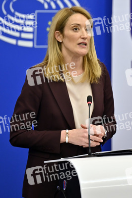Pressestatement zur zur französischen EU-Ratspräsidentschaft in Straßburg