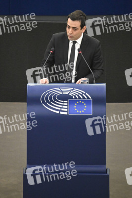 Plenartagung im Europäischen Parlament in Straßburg