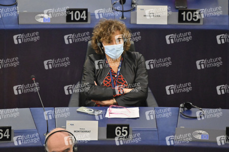 Plenartagung im Europäischen Parlament in Straßburg