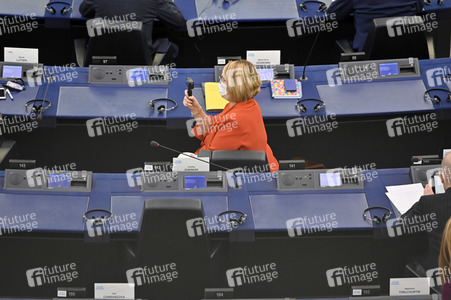 Plenartagung über den Digital Services Act im EU-Parlament in Straßburg
