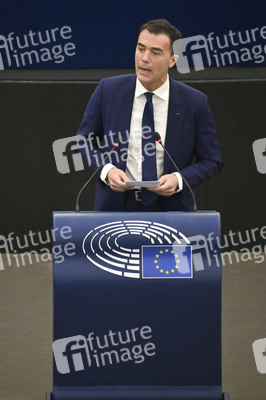 Plenartagung über den Digital Services Act im EU-Parlament in Straßburg